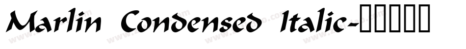 Marlin Condensed Italic字体转换